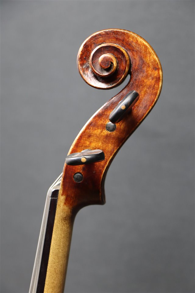 Volute