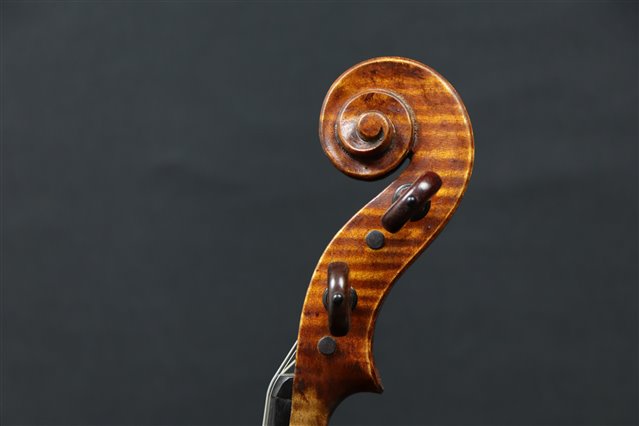 Volute