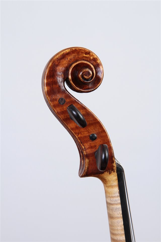 Volute