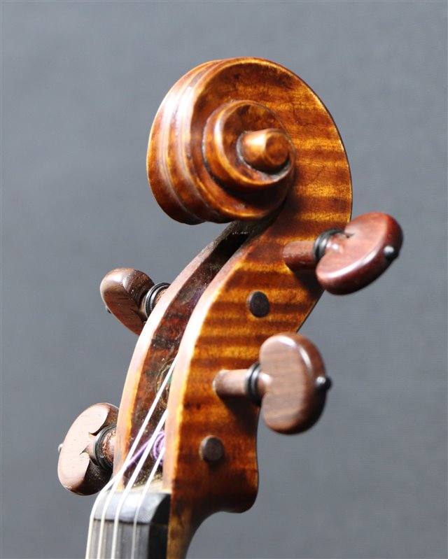 Volute