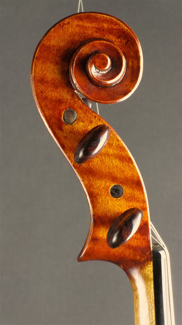 Volute