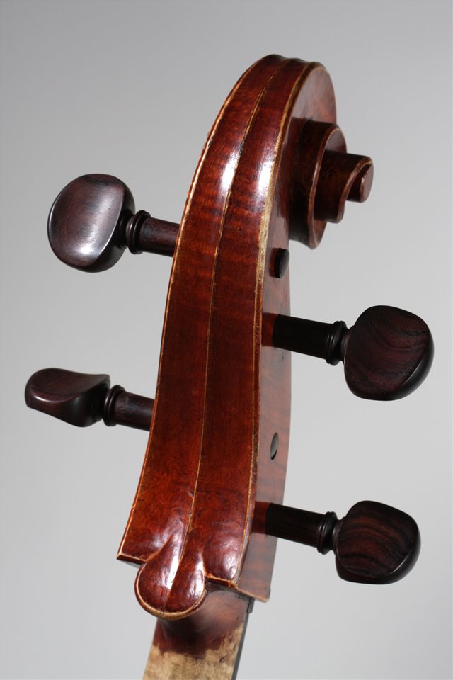 Testa