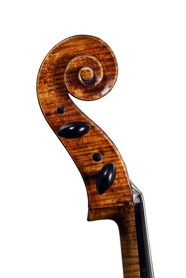 Volute