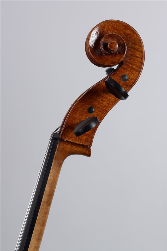 Volute