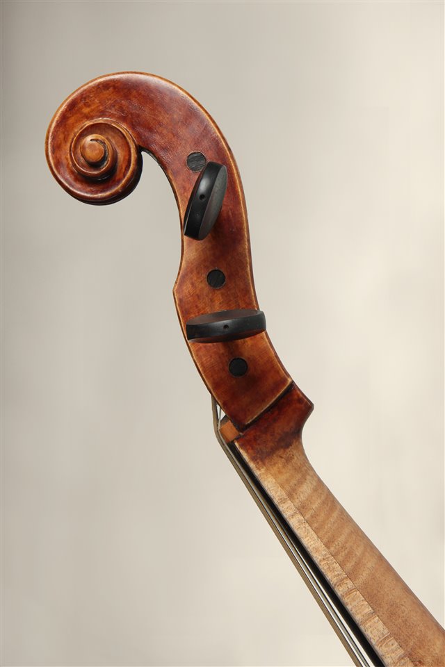 Volute
