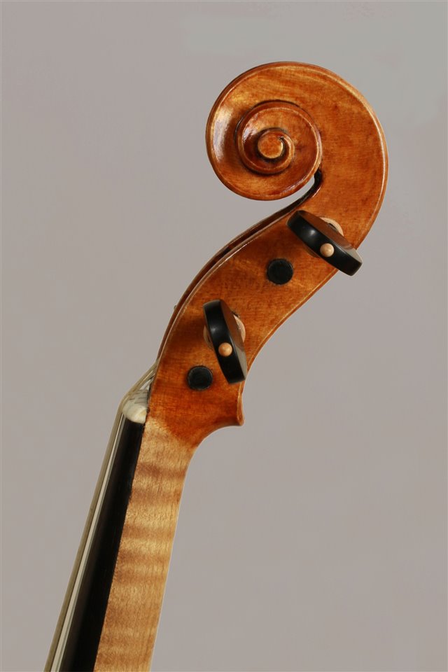 Volute