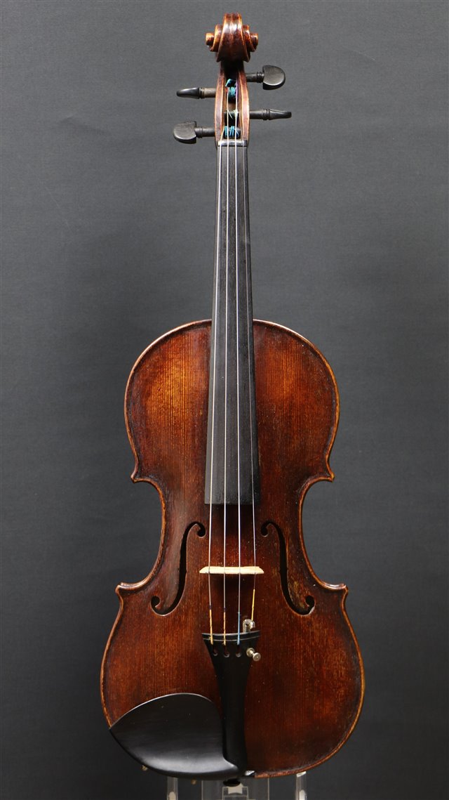 Tavola