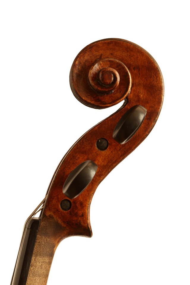 Testa
