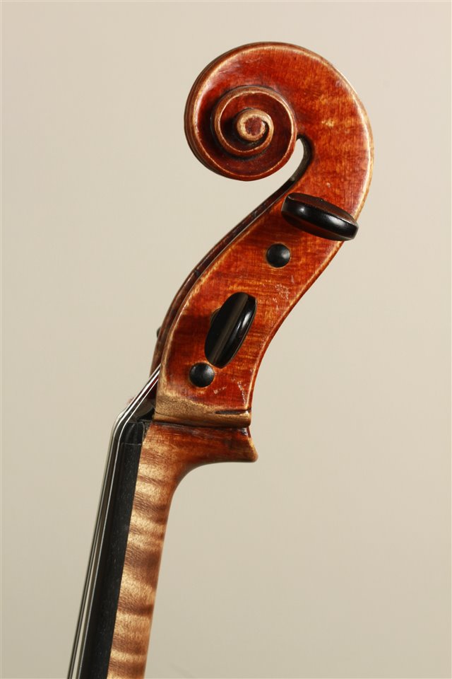 Volute