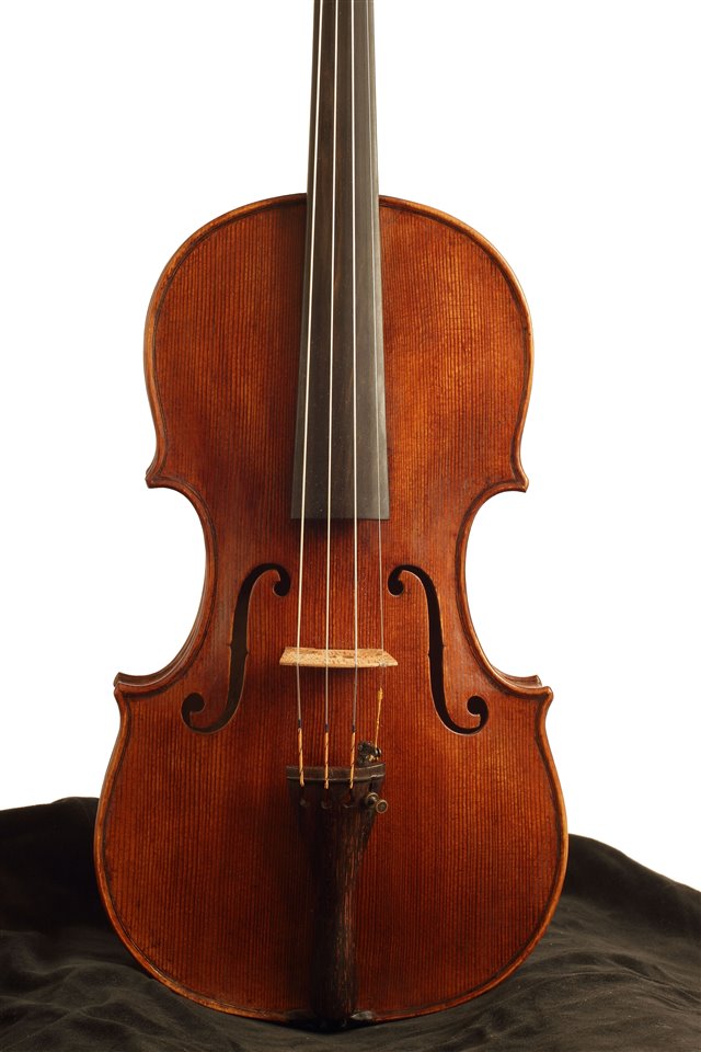 Tavola