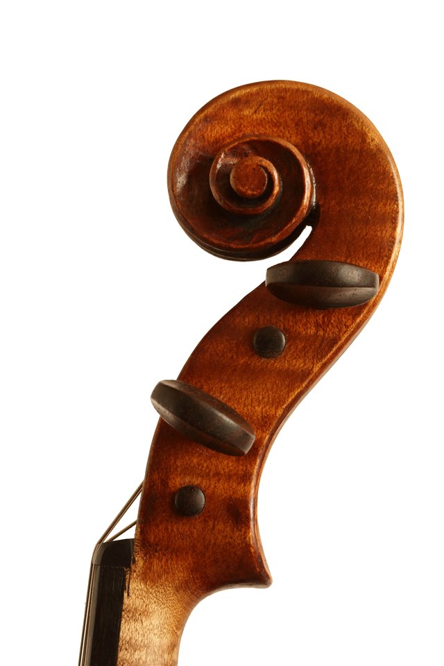 Testa