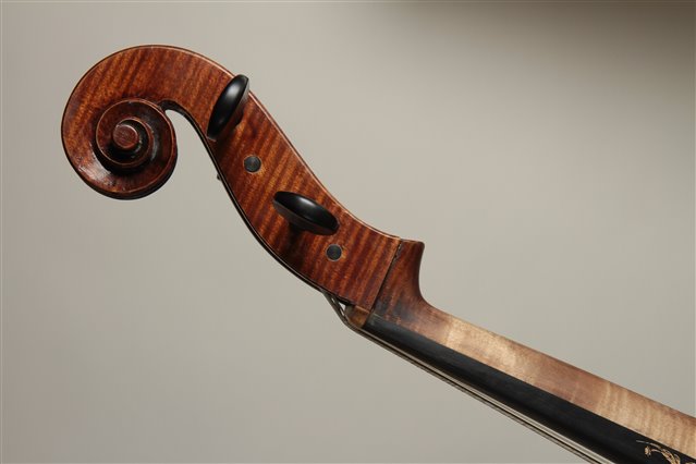 Volute