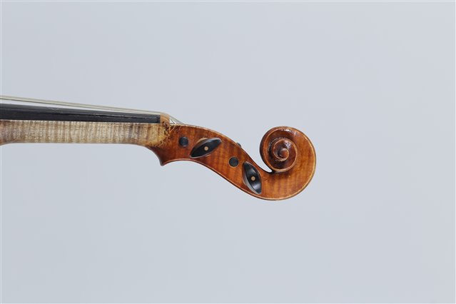 Volute