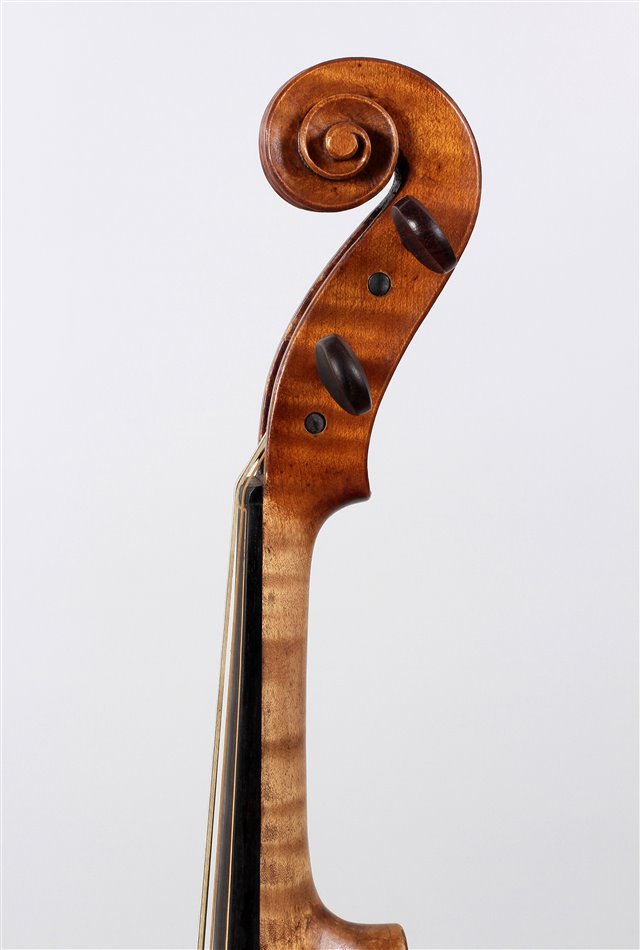Volute