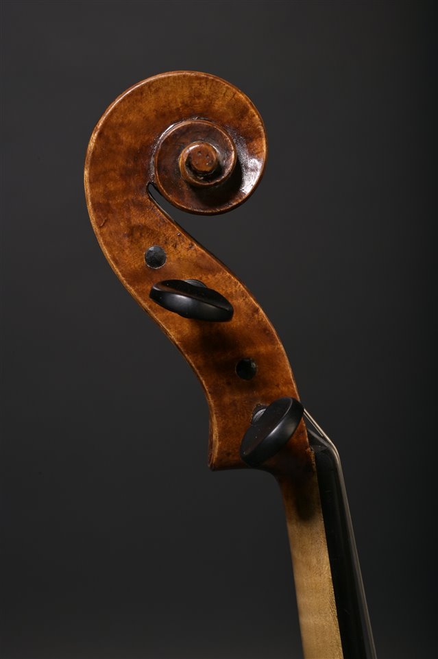 Volute