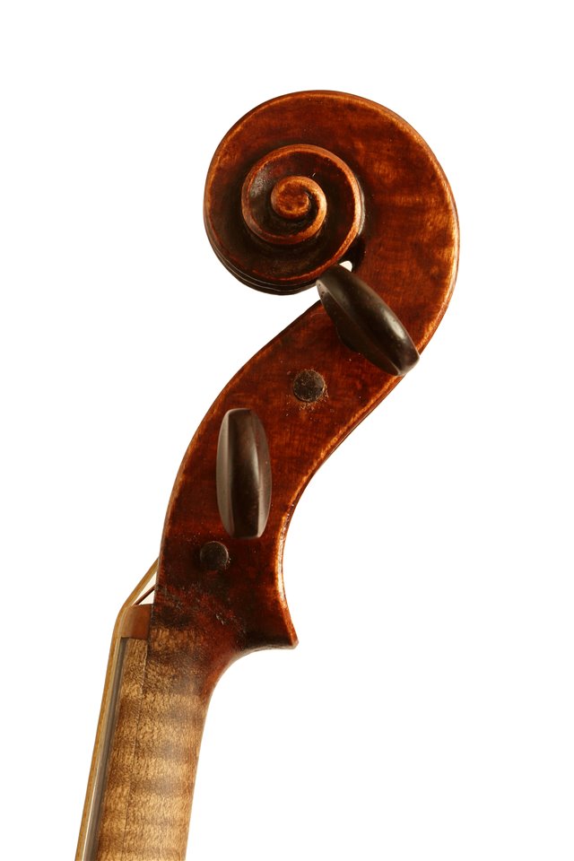 Volute