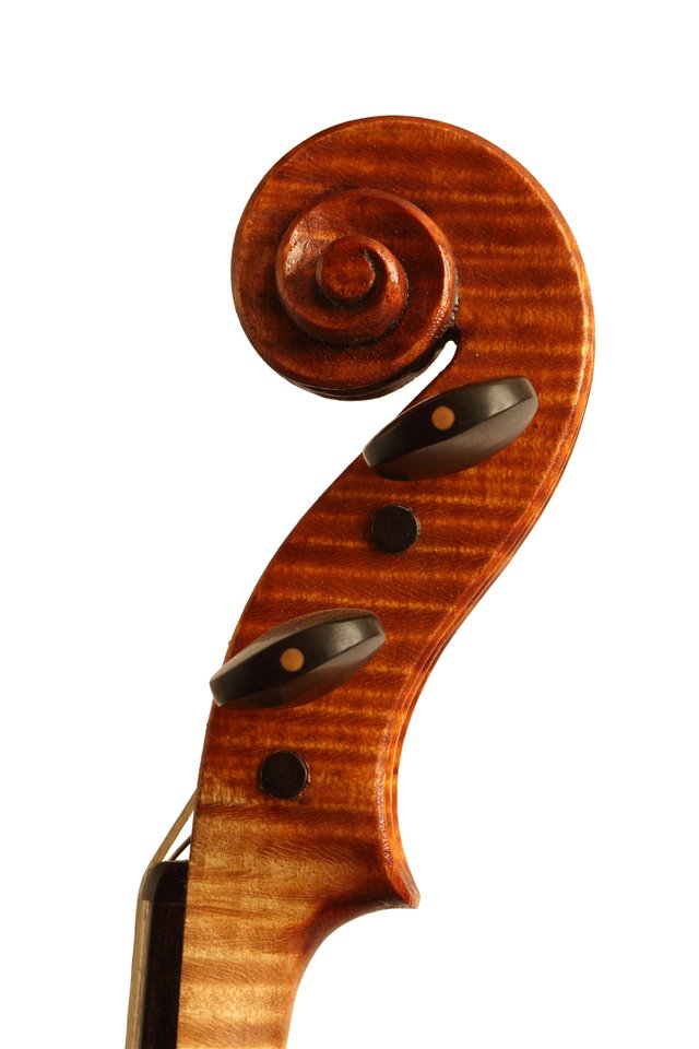 Volute