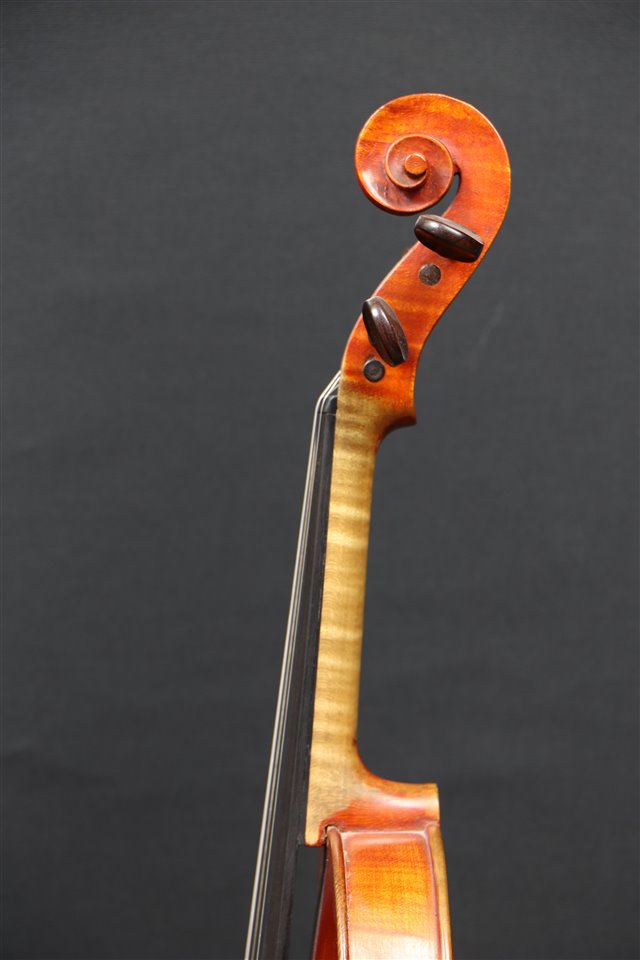 Volute