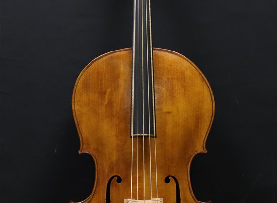 Violoncelle 5 cordes Modello Frères Amati 1600 - Giovanna Chitto 2020