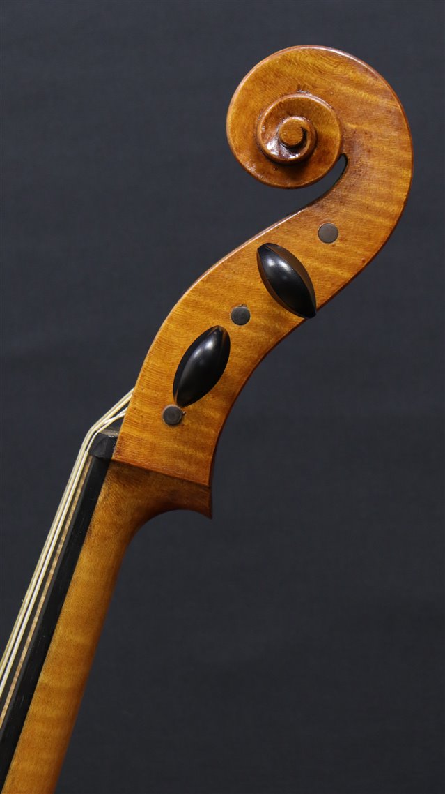 Volute