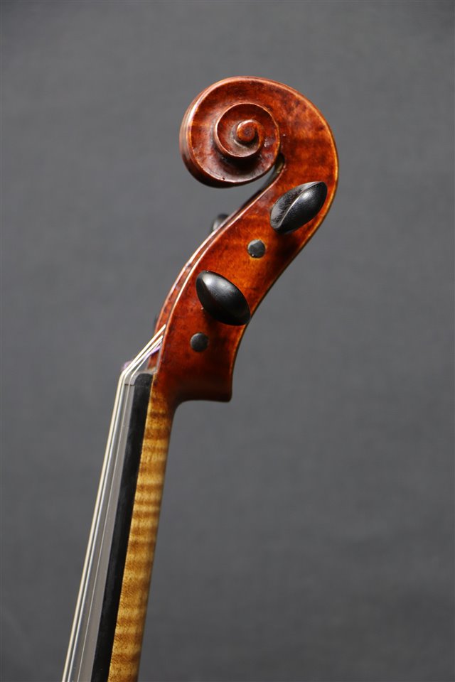 Testa