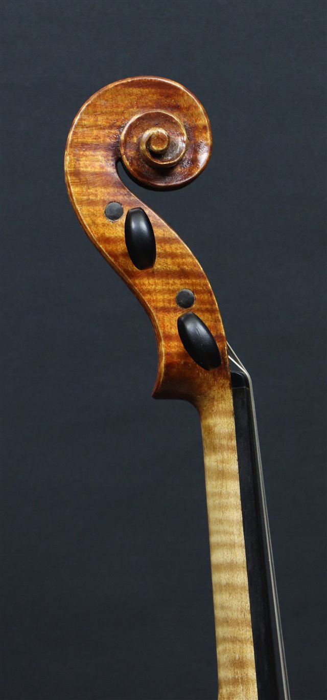 Testa