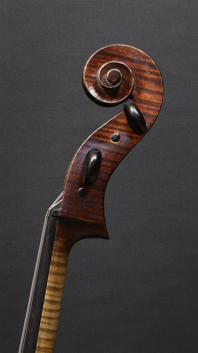 Volute