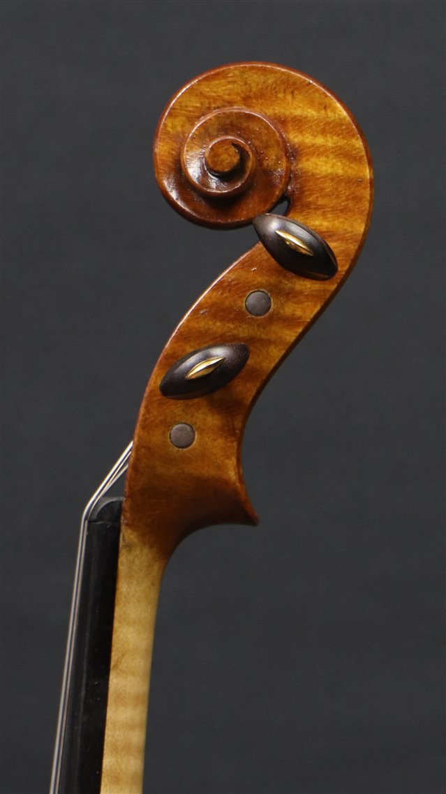 Testa