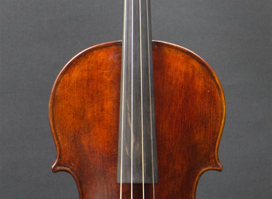 Alto 2024 - (model Amati Nicolas)